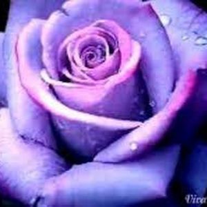 Meet your Posher, Ty-janee